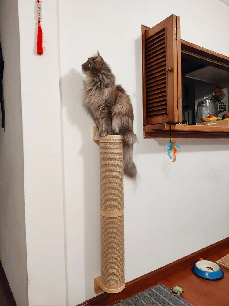 Wall Mounted Cat Scratching Post