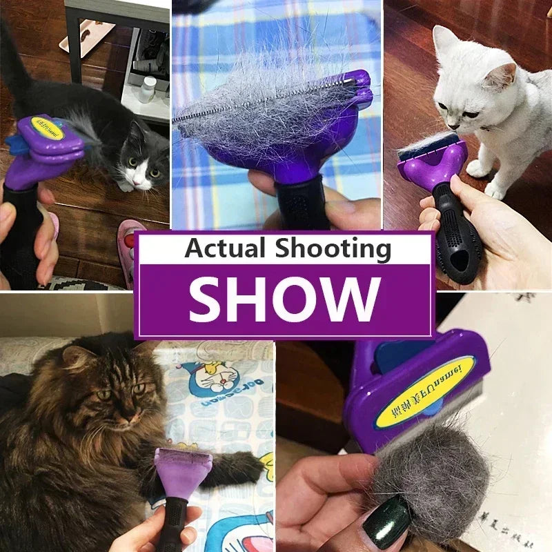 Pet Grooming Brush