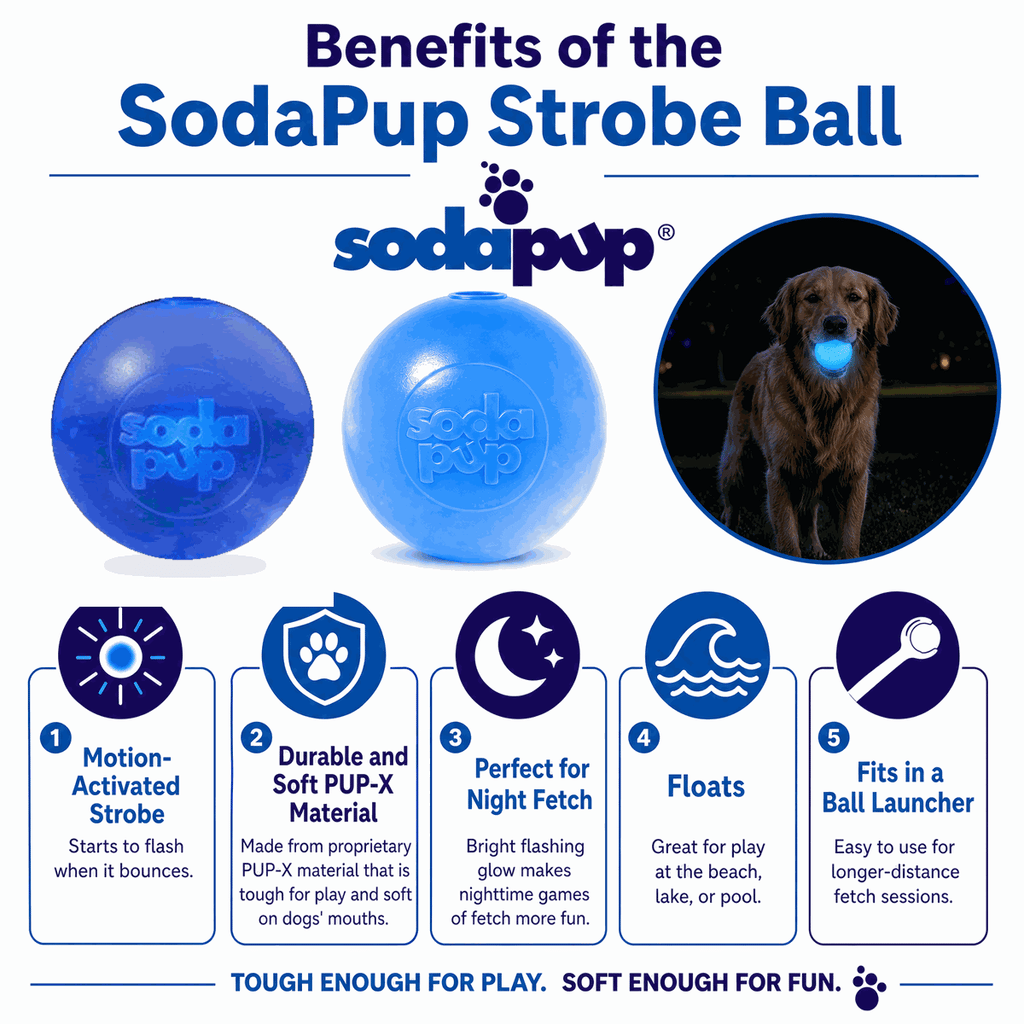 Strobe Ball Light-Up Dog Toy