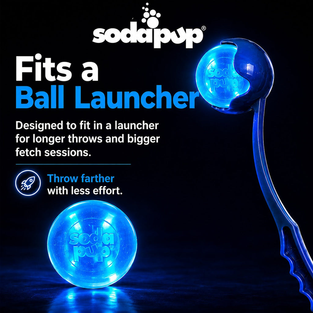 Strobe Ball Light-Up Dog Toy