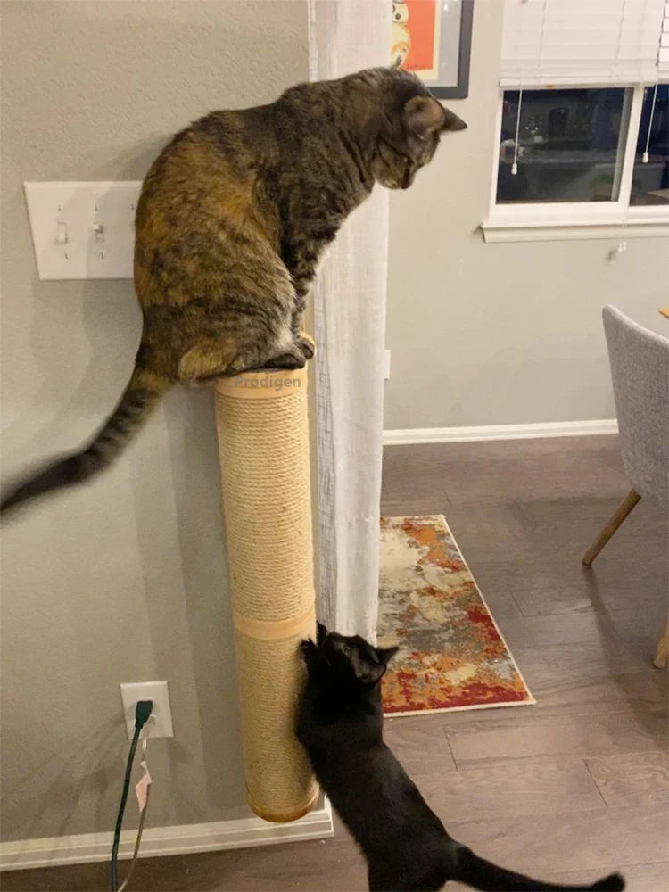 Wall Mounted Cat Scratching Post
