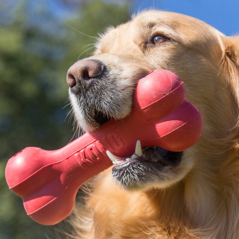 KONG Goodie Bone Dog Chew Toy
