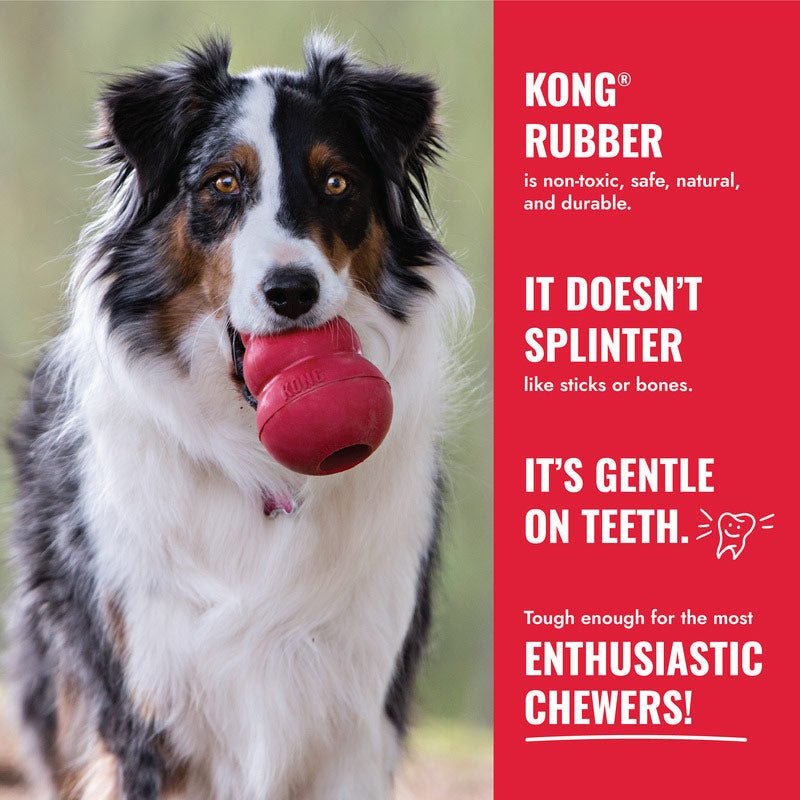 KONG Goodie Bone Dog Chew Toy