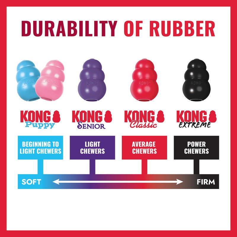 KONG Goodie Bone Dog Chew Toy