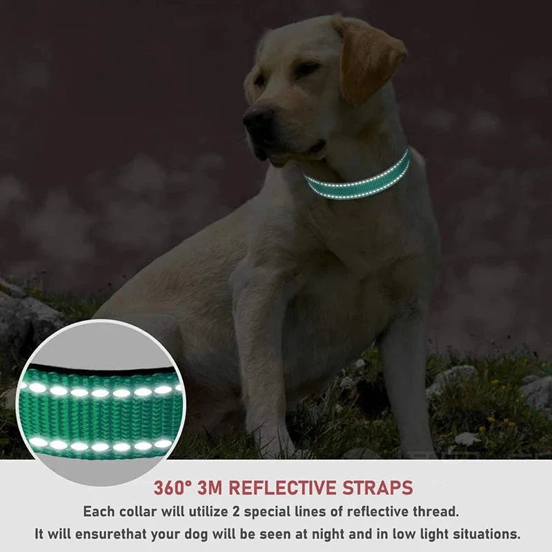 Reflective Nylon Dog Collar