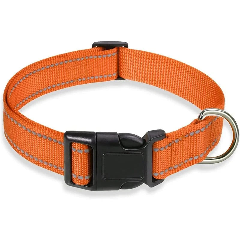 Reflective Nylon Dog Collar