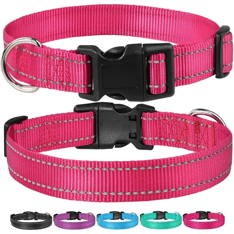Reflective Nylon Dog Collar