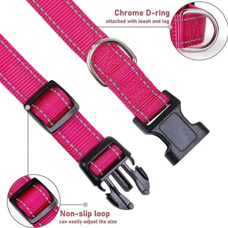 Reflective Nylon Dog Collar