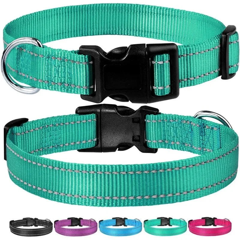 Reflective Nylon Dog Collar