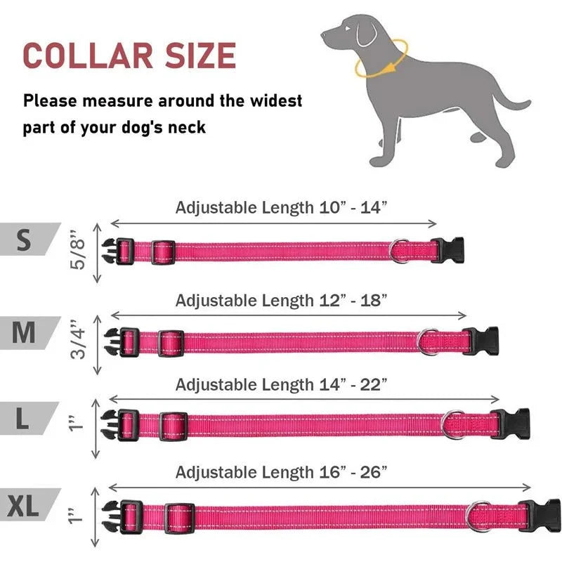 Reflective Nylon Dog Collar