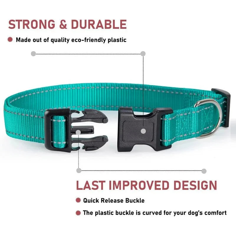 Reflective Nylon Dog Collar