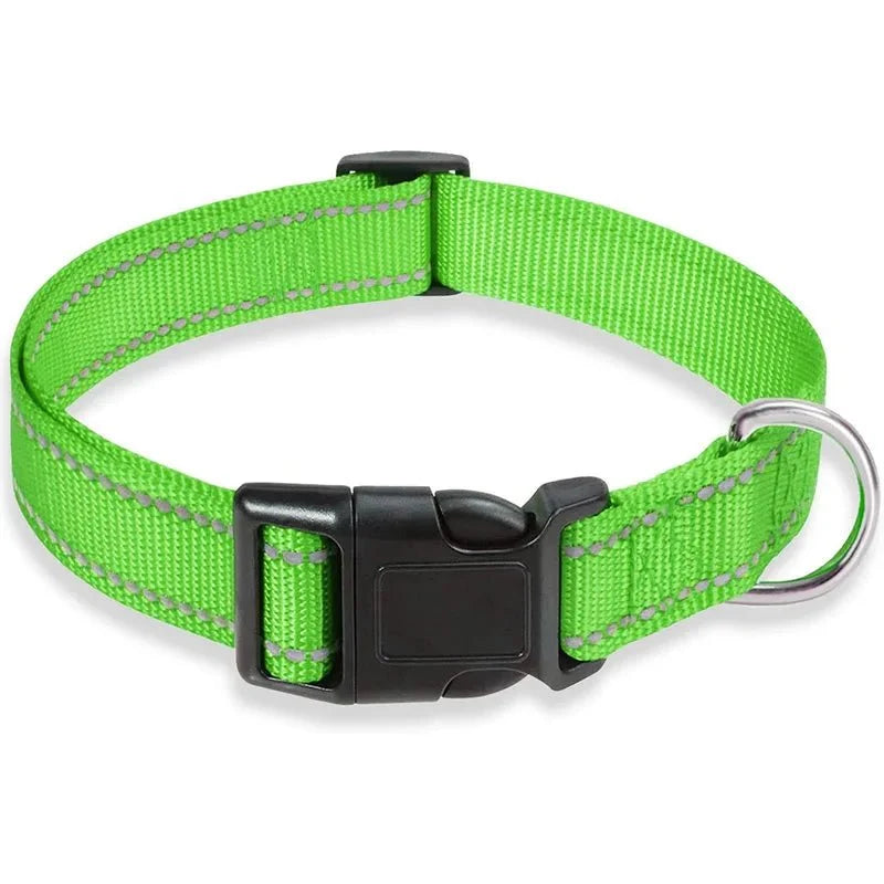 Reflective Nylon Dog Collar