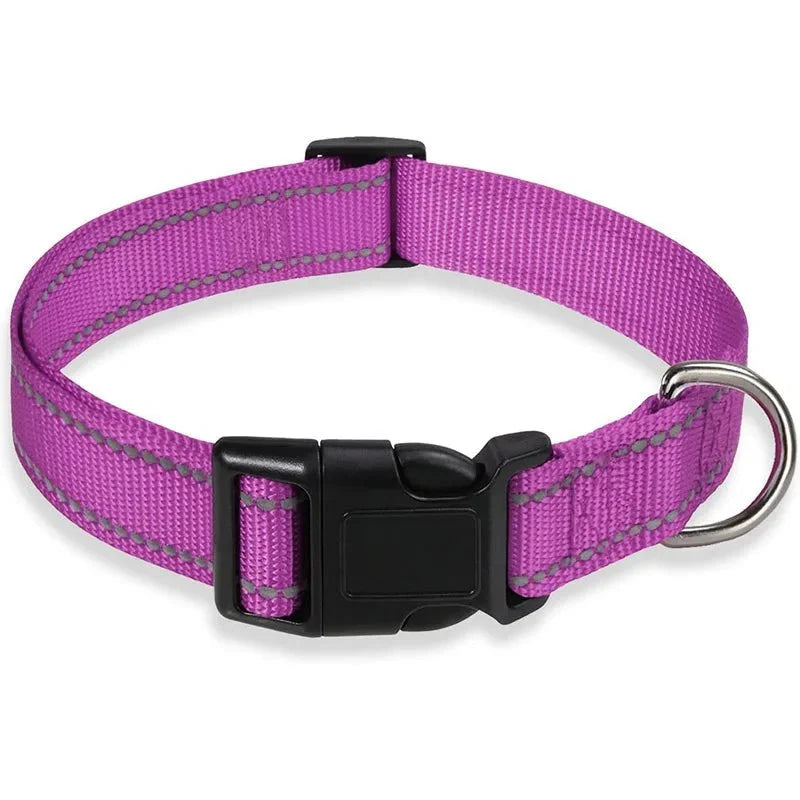 Reflective Nylon Dog Collar