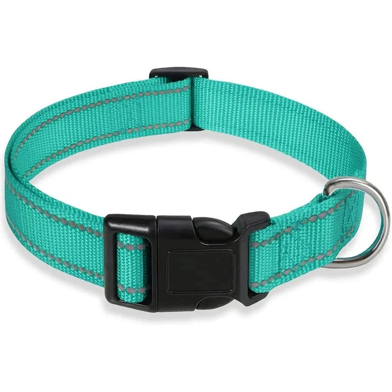 Reflective Nylon Dog Collar